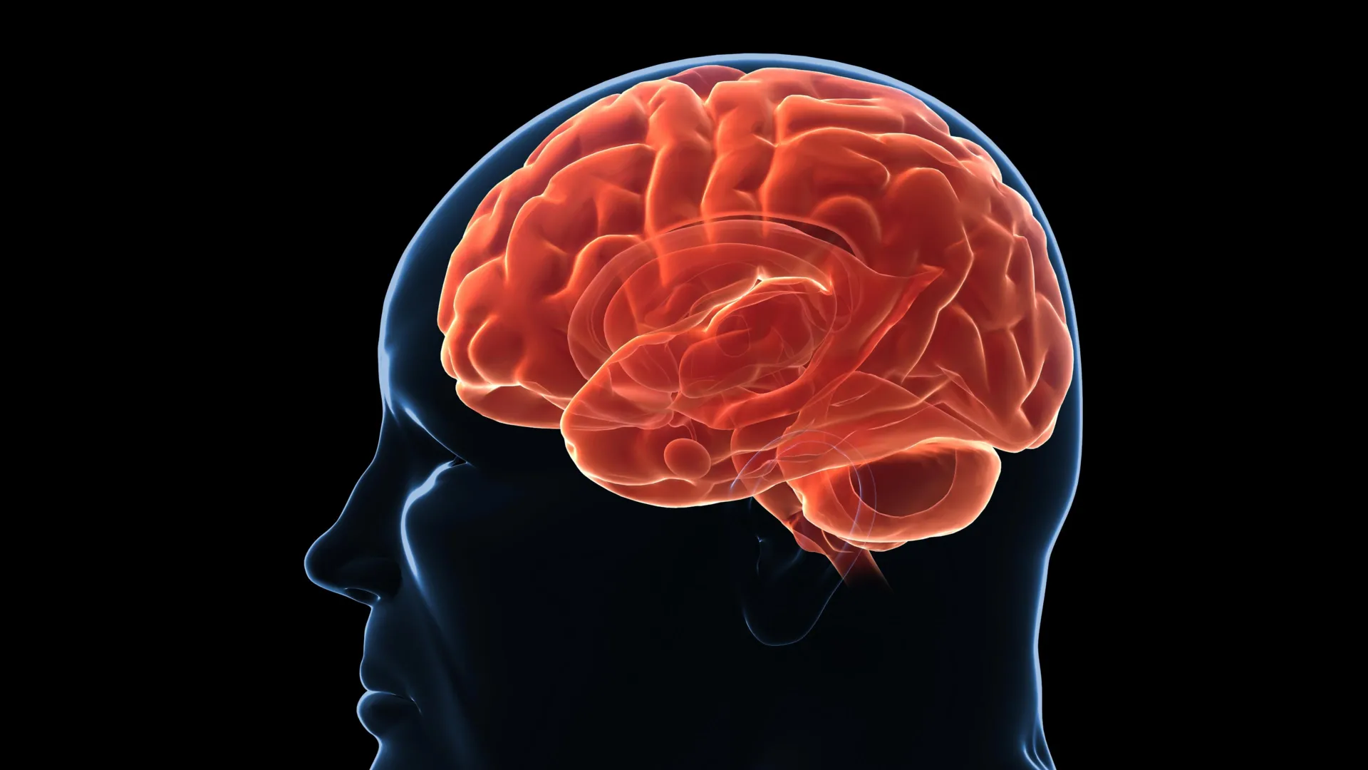 3D illustration of human brain and neural pathways